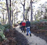 Bridport Walking Track - Accommodation Main Beach