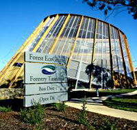Forest EcoCentre - Accommodation Main Beach
