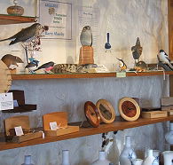 Touchwood Craft Gallery Gifts and Cafe - Accommodation Main Beach