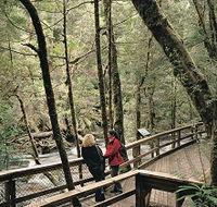 Franklin River Nature Trail - Accommodation Main Beach