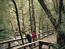 Franklin River Nature Trail - Accommodation Main Beach 0