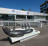 Australia's Antarctic Headquarters - Accommodation Main Beach