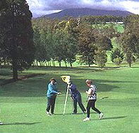 Deloraine Golf Course - Accommodation Main Beach