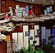 West Coast Visitor Information and Booking Centre - Accommodation Main Beach
