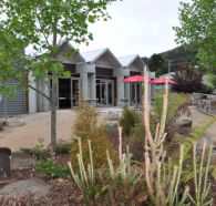 Tin Dragon Interpretation Centre and Cafe - Accommodation Main Beach
