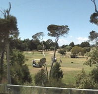 Greens Beach Golf Course - Accommodation Main Beach