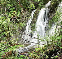 Hogarth Falls - Accommodation Main Beach