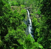 Kondalilla National Park - Accommodation Main Beach