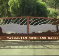 Tasmanian Bushland Garden - Accommodation Main Beach