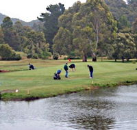 Penguin Golf Course - Accommodation Main Beach
