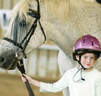 Gooromon Park Riding Centre  - Accommodation Main Beach