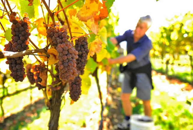 Dilston TAS Accommodation Main Beach