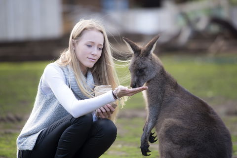 Bonorong Wildlife Sanctuary - Accommodation Main Beach 0