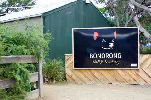 Bonorong Wildlife Sanctuary - Accommodation Main Beach 1