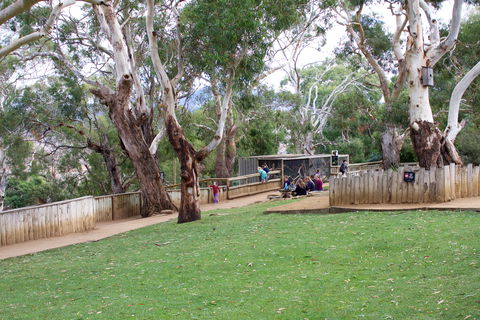 Bonorong Wildlife Sanctuary - Accommodation Main Beach 2