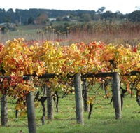 Apsley Gorge Vineyard - Accommodation Main Beach