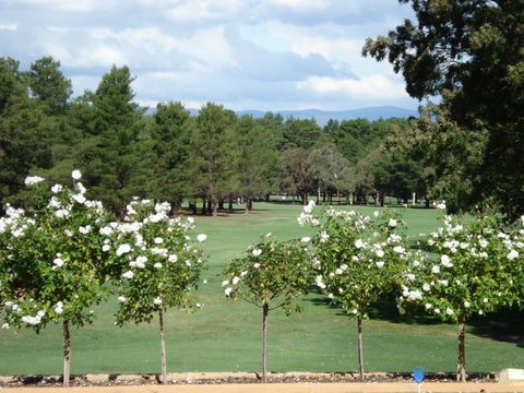 RMC Golf Club - Accommodation Main Beach 0