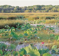 Fogg Dam Conservation Reserve - Accommodation Main Beach