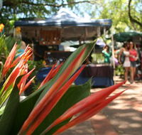 Nightcliff Markets - Accommodation Main Beach