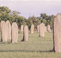 Magnetic Termite Mounds - Accommodation Main Beach