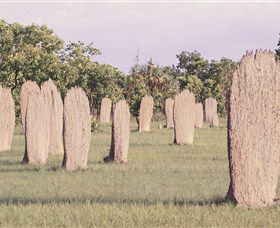 Magnetic Termite Mounds - Accommodation Main Beach 0