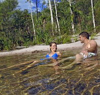 Tjaynera/Sandy Creek Falls - Accommodation Main Beach