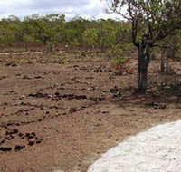 Wurrwurrwuy Garanhan Macassan Beach Interpretive Walk - Accommodation Main Beach