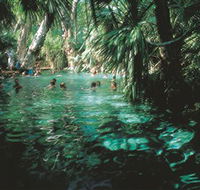 Mataranka Thermal Pool - Accommodation Main Beach