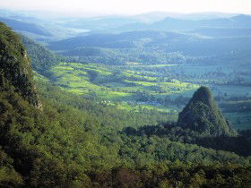 Springbrook Plateau, Springbrook National Park - Accommodation Main Beach 0