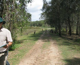 Coombabah QLD Accommodation Main Beach