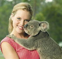 Paradise Country Aussie Farm Tour - Accommodation Main Beach