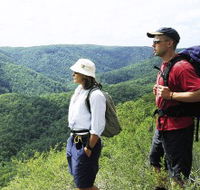 Sunshine Coast Hinterland Great Walk - Accommodation Main Beach