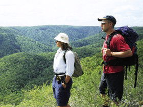 Sunshine Coast Hinterland Great! Walk - Accommodation Main Beach 0