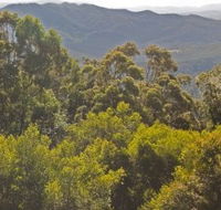 Conondale National Park - Accommodation Main Beach