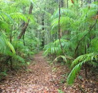 Delicia Road Conservation Park - Accommodation Main Beach