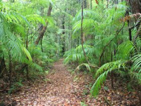 Delicia Road Conservation Park - Accommodation Main Beach 0