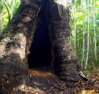 Tewantin National Park - Accommodation Main Beach