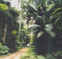 Conondale Great Walk - Accommodation Main Beach