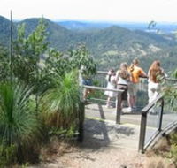 Mapleton Forest Reserve - Accommodation Main Beach