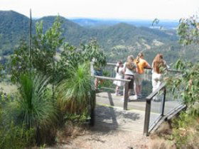 Mapleton Forest Reserve - Accommodation Main Beach 0