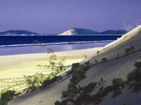 Cooloola, Great Sandy National Park - Accommodation Main Beach 0