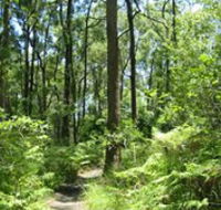 Mapleton Falls National Park - Accommodation Main Beach