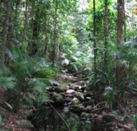 Mossman Gorge Rainforest Circuit Track Daintree National Park - Accommodation Main Beach