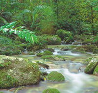 Mossman Gorge Daintree National Park - Accommodation Main Beach