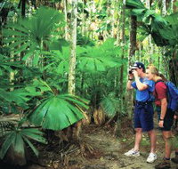 Mount Sorrow Ridge Trail Daintree National Park - Accommodation Main Beach