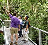 Daintree Discovery Centre - Accommodation Main Beach