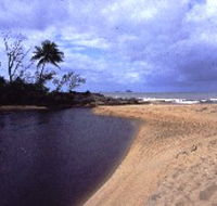 Russell River National Park - Accommodation Main Beach