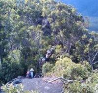 Mia Mia State Forest - Accommodation Main Beach