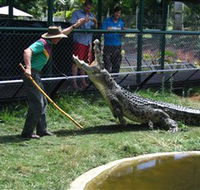 Snakes Downunder Reptile Park and Zoo - Accommodation Main Beach