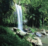 Curtis Falls Joalah Section - Accommodation Main Beach